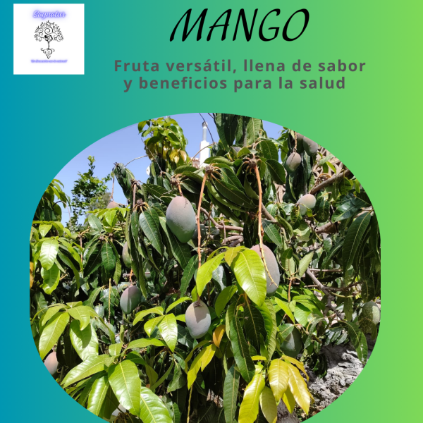 mango