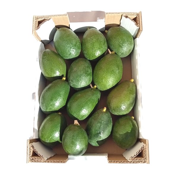 AGUACATES Caja de 3 kg. Variedad BACON. Aguacate de Producción Local, Fruta directa del agricultor a tu mesa, sin intermediarios.