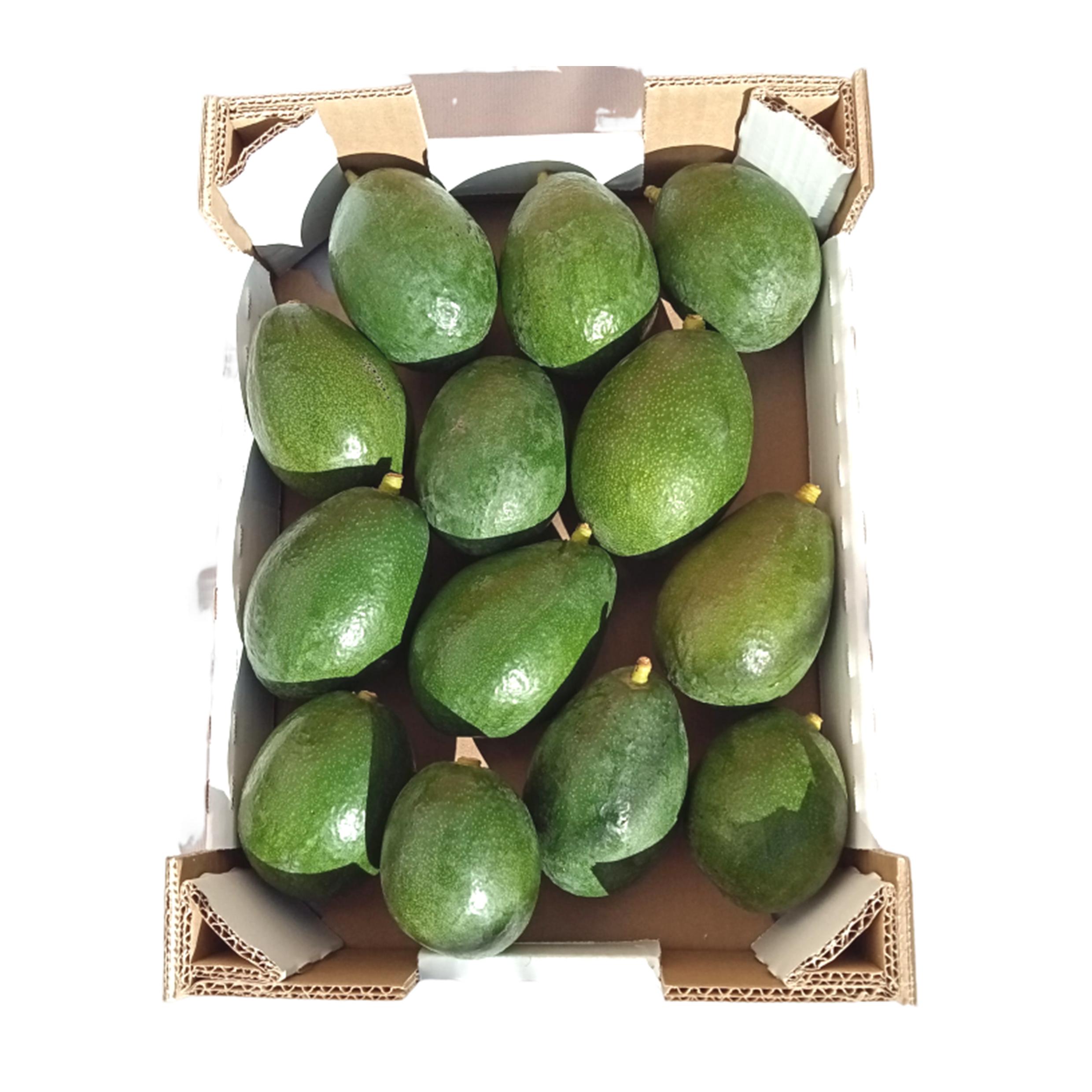AGUACATES Caja de 3 kg. Variedad BACON. Aguacate de Producción Local, Fruta directa del agricultor a tu mesa, sin intermediarios.