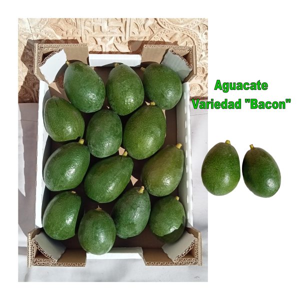 aguacate bacon