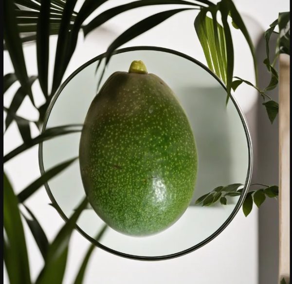 aguacate bacon